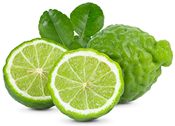 Bergamot